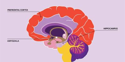 Hypnose-Coaching bei Angststörungen – neue Wege zur inneren Ruhe