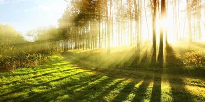 Hypnose-Coaching bei Panikattacken – aus dem Kreislauf ausbrechen