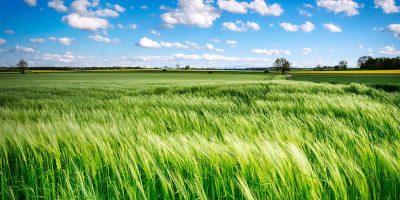 Burnout verstehen – Deine Energie zurückgewinnen